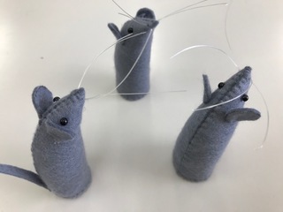 image4.jpeg